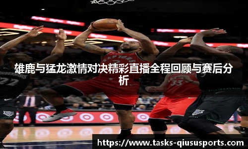 雄鹿与猛龙激情对决精彩直播全程回顾与赛后分析