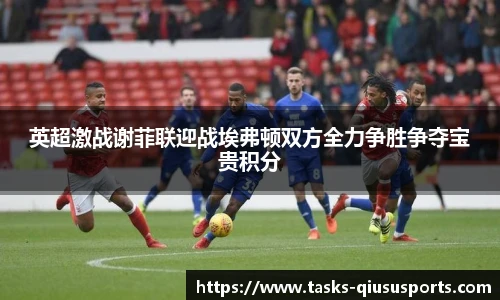 英超激战谢菲联迎战埃弗顿双方全力争胜争夺宝贵积分